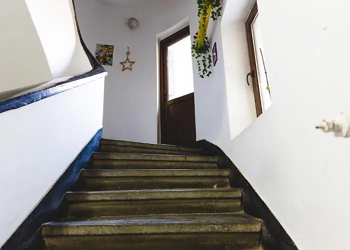 Lägenhet The Sunflower Retreat - Bright & Stylish 1br *